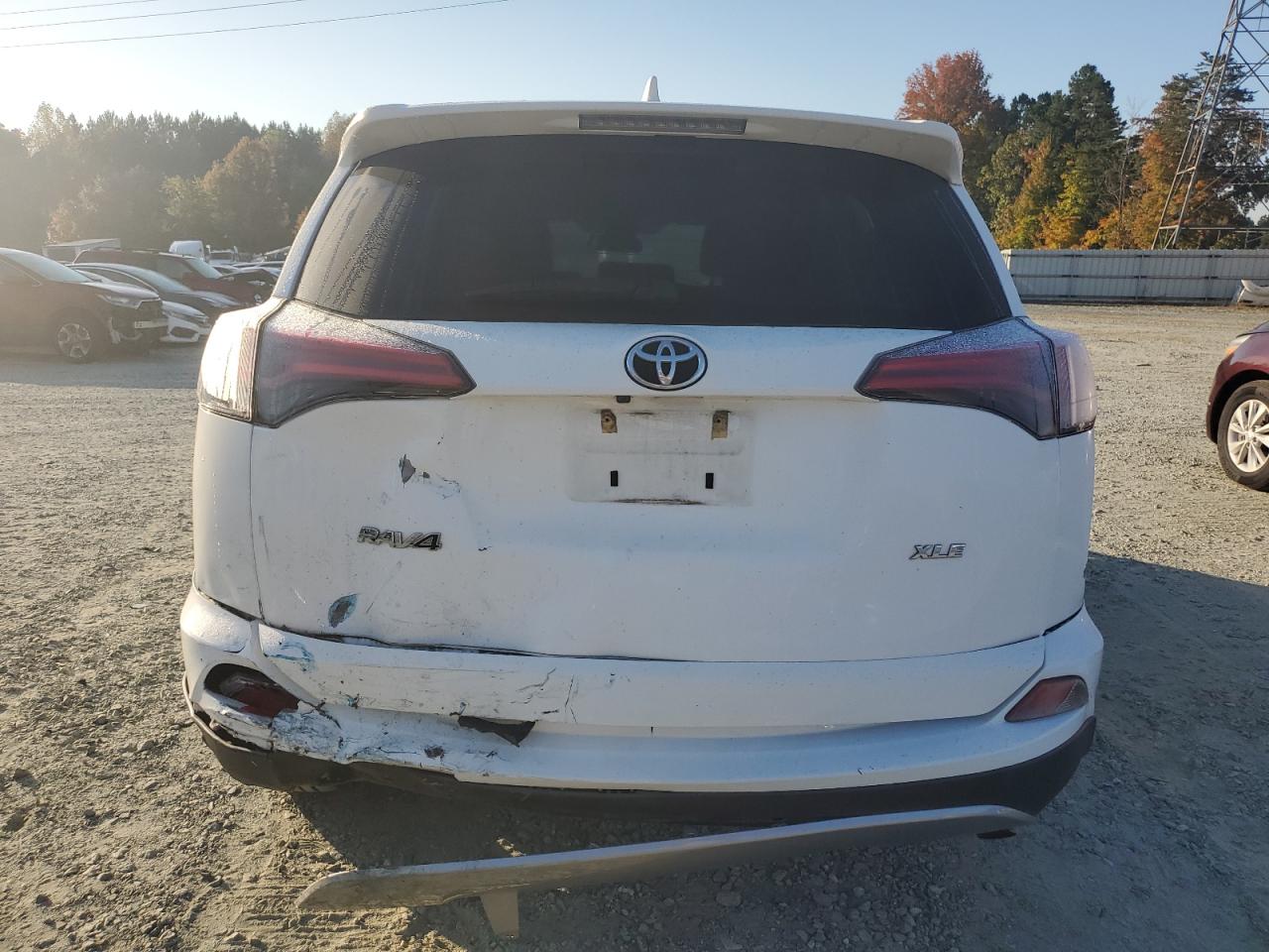 2018 Toyota RAV 4 VIN 2T3WFREV0JW413406 Copart auction photo, front end / rear end damage thumbnail 6