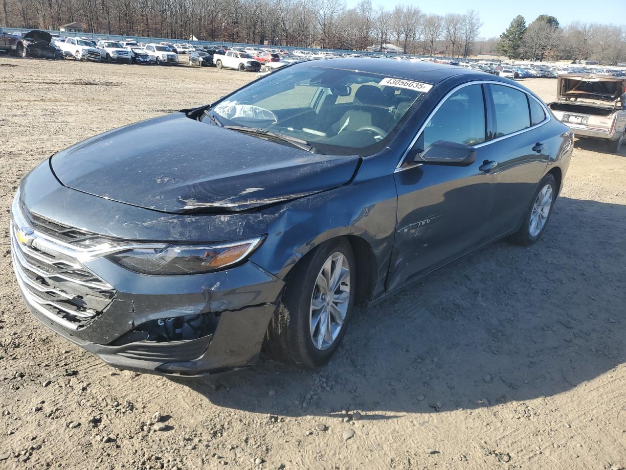 2019 Chevrolet Malibu VIN 1G1ZD5ST4KF192502