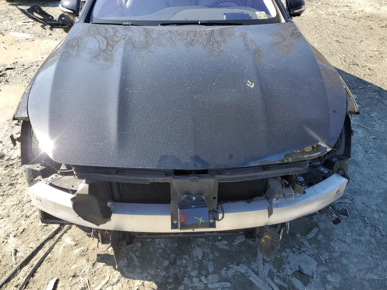 2015 Mercedes-Benz S-klasse VIN WDDXJ8FB8FA000954 Copart auction photo, front end / minor dent/scratches damage thumbnail 11