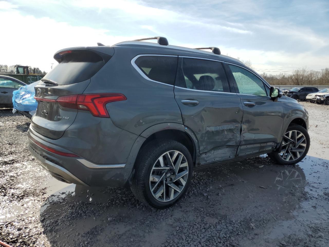 2021 Hyundai Santa Fe VIN 5NMS5DAL5MH368500 Copart auction photo, side damage thumbnail 3