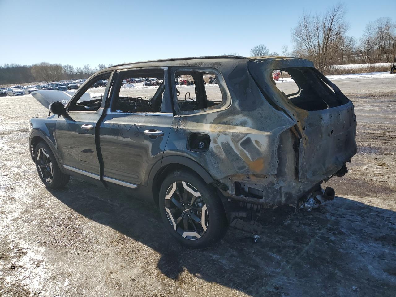 2024 KIA Telluride VIN 5XYP6DGCXRG480141 Copart auction photo, burn damage thumbnail 2