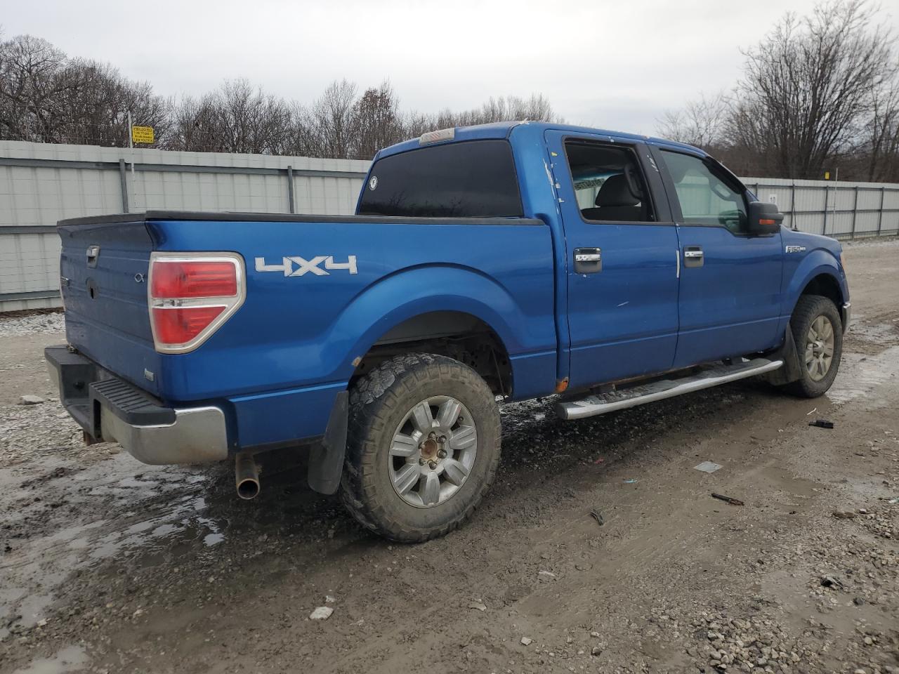 2010 Ford F-150 VIN 1FTFW1EV9AKC20200 Copart auction photo, hail damage thumbnail 3
