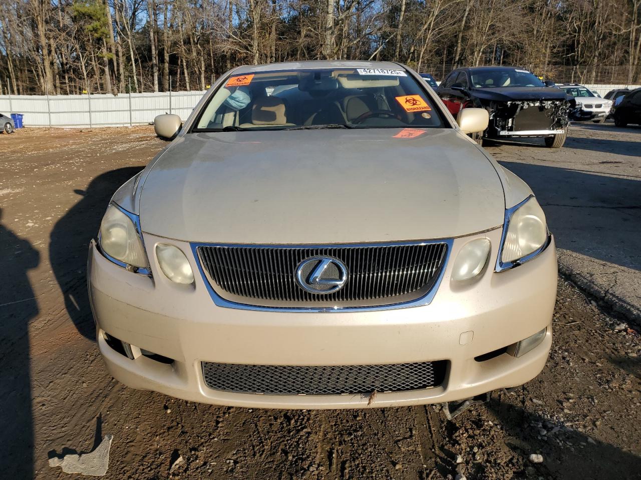 2006 Lexus GS 300 VIN JTHBH96S465033043 Copart auction photo, biohazard/chemical / all over damage thumbnail 5