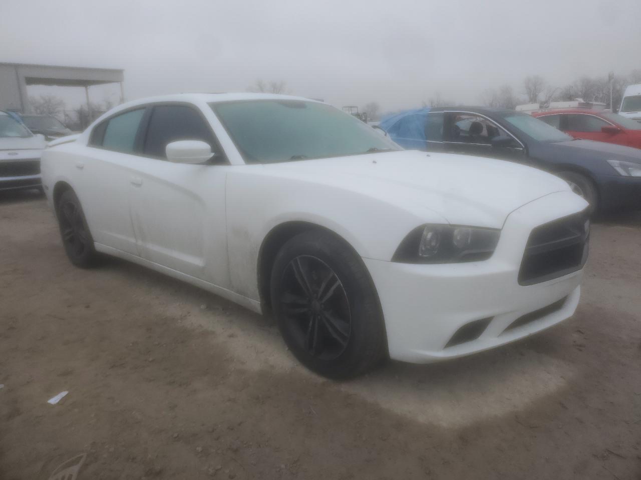 2014 Dodge Charger VIN 2C3CDXDT5EH354411 Copart auction photo, side damage thumbnail 4