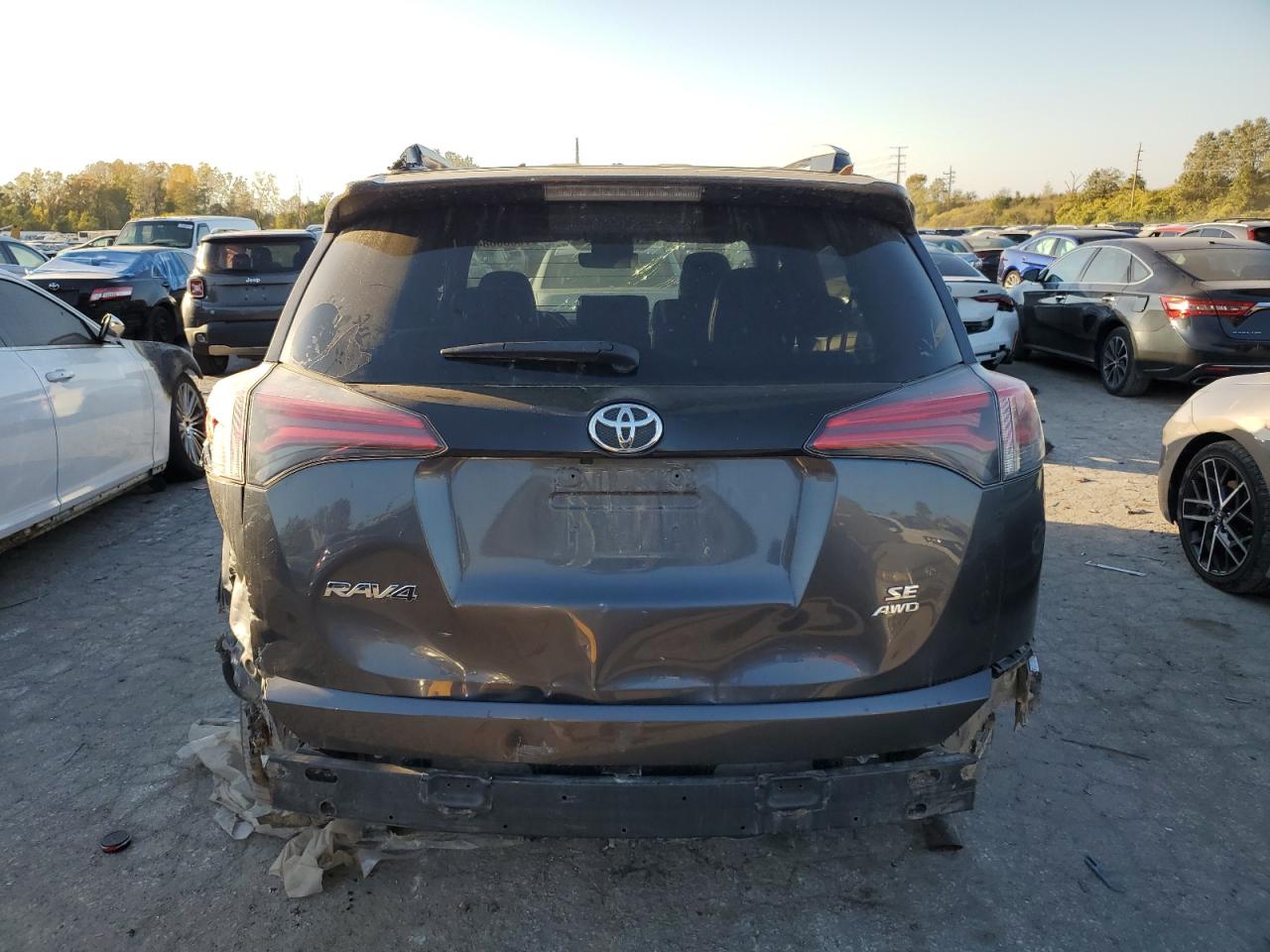2018 Toyota RAV 4 VIN JTMJFREV6JJ748291 Copart auction photo, all over damage thumbnail 6