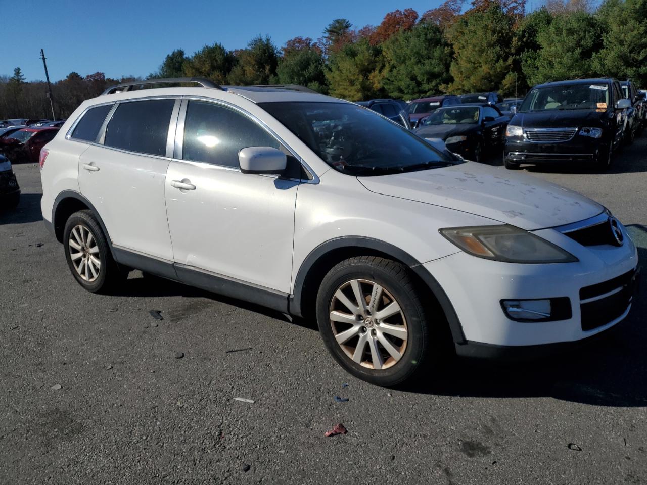 2009 Mazda CX-9 VIN JM3TB38VX90176261 Copart auction photo, front end / minor dent/scratches damage thumbnail 4