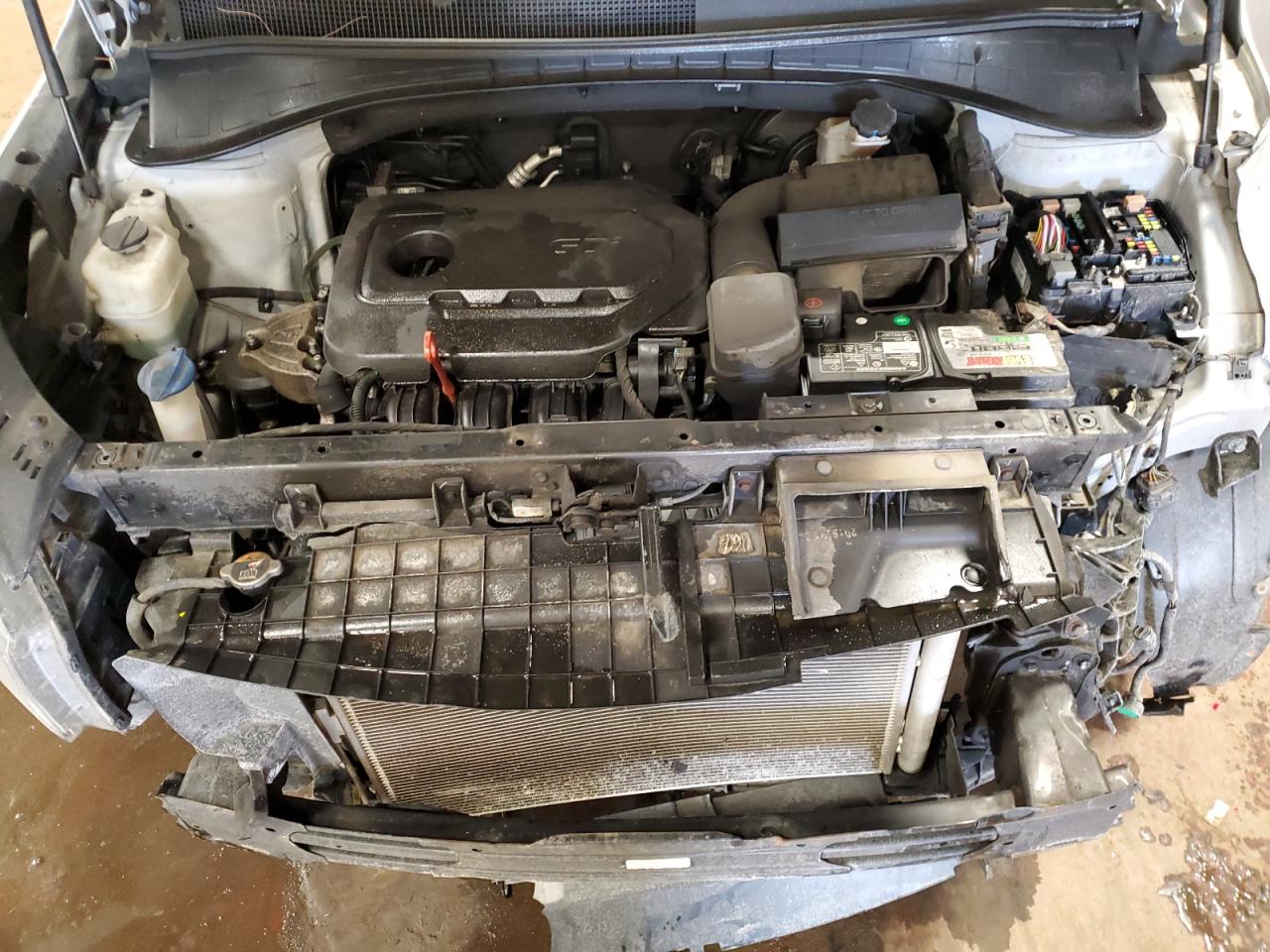 2019 KIA Sorento VIN 5XYPG4A32KG589365 Copart auction photo, front end / side damage thumbnail 13