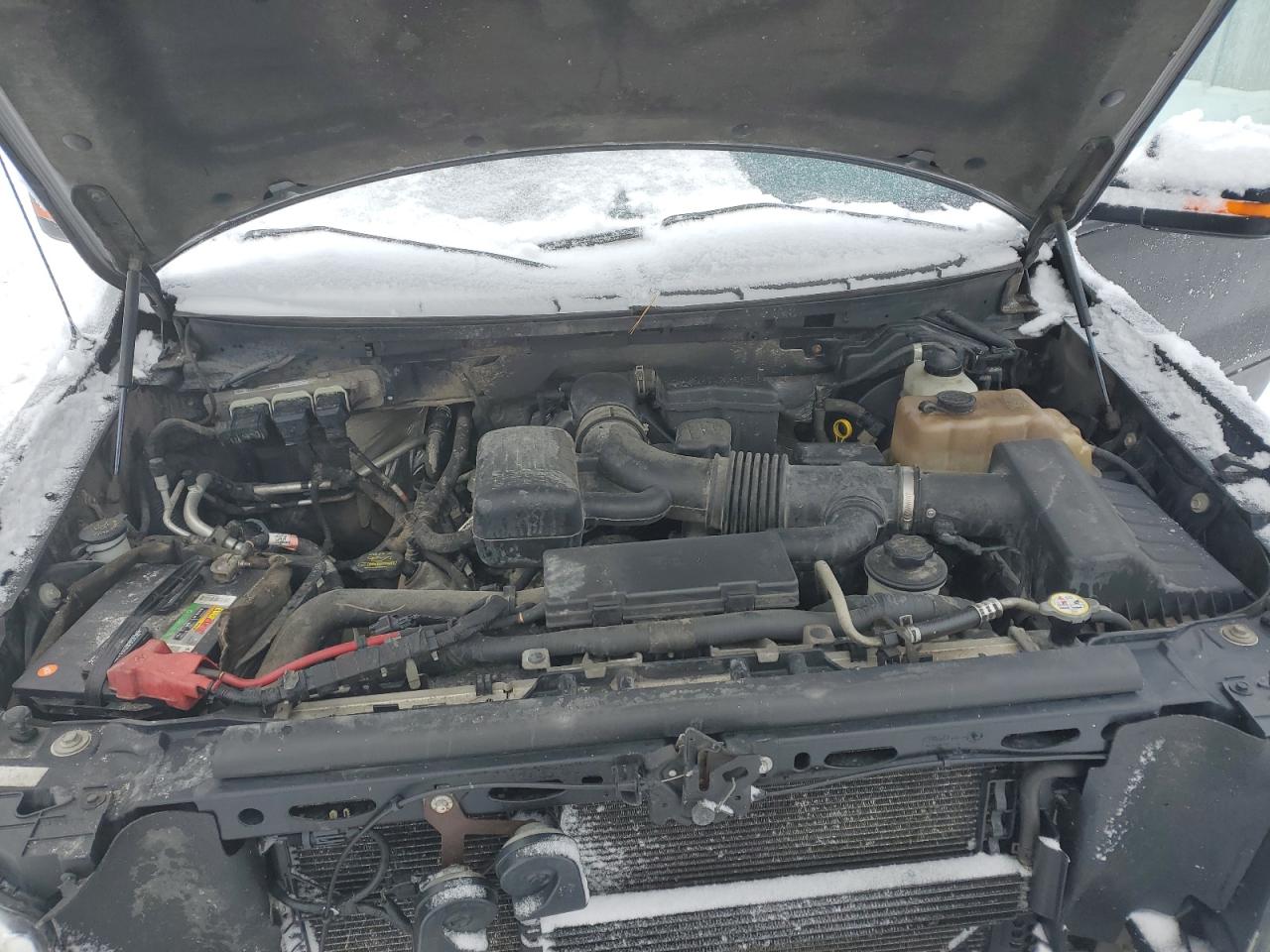 2010 Ford F-150 VIN 1FTFW1EV0AFC93402 Copart auction photo, front end / minor dent/scratches damage thumbnail 13