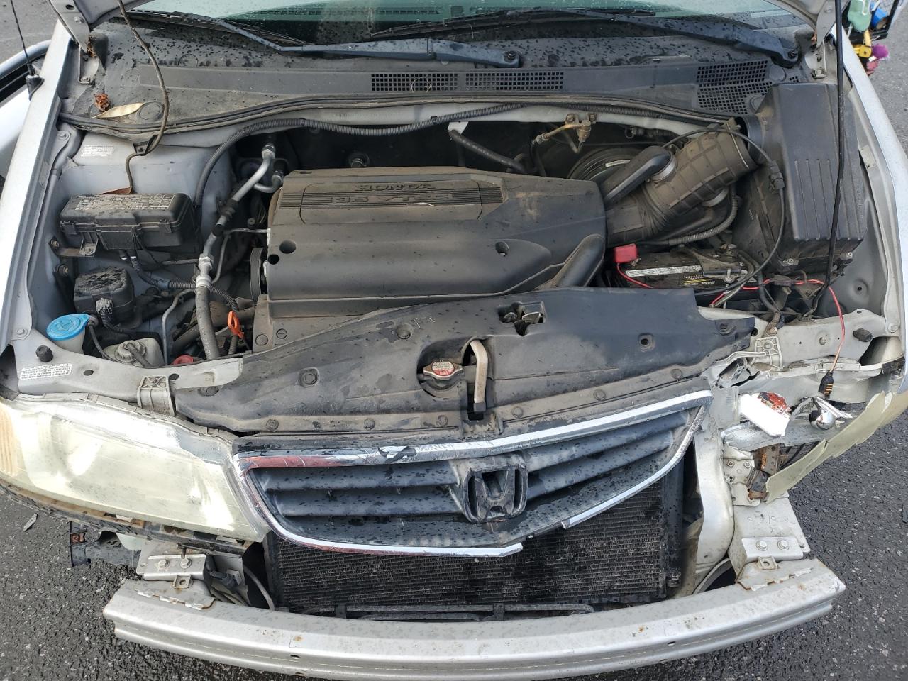 2004 Honda Odyssey VIN 5FNRL18794B010703 Copart auction photo, rear end / front end damage thumbnail 12