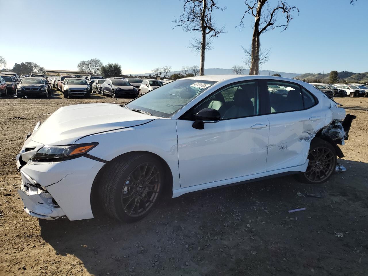 2023 Toyota Camry VIN 4T1G31AK2PU051316
