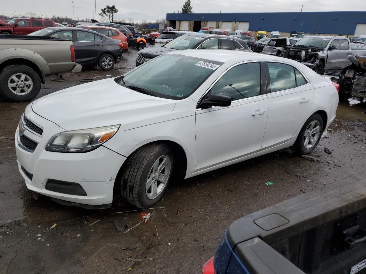 2013 Chevrolet Malibu VIN 1G11B5SAXDF347428
