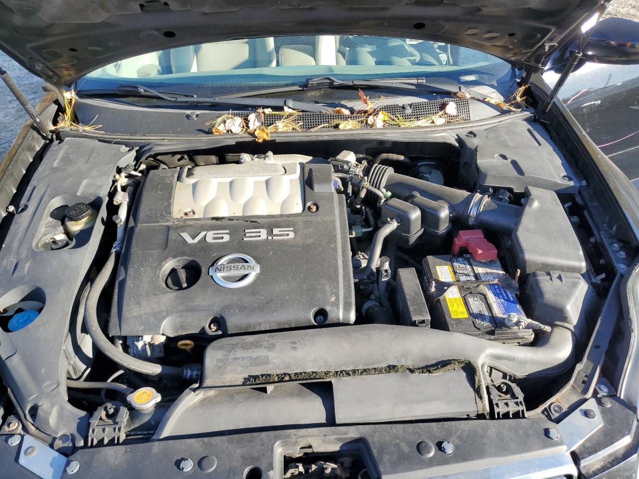 2006 Nissan Maxima VIN 1N4BA41EX6C831025 Copart auction photo, rear end / minor dent/scratches damage thumbnail 11