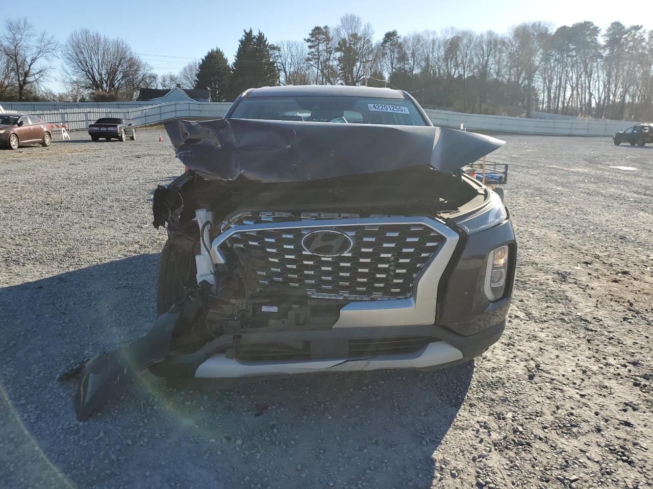 2020 Hyundai Palisade VIN KM8R14HE1LU056744 Copart auction photo, front end / rear end damage thumbnail 5