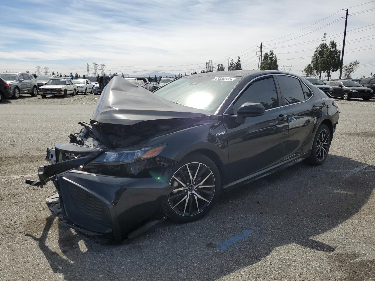 2021 Toyota Camry VIN 4T1G31AK3MU565865