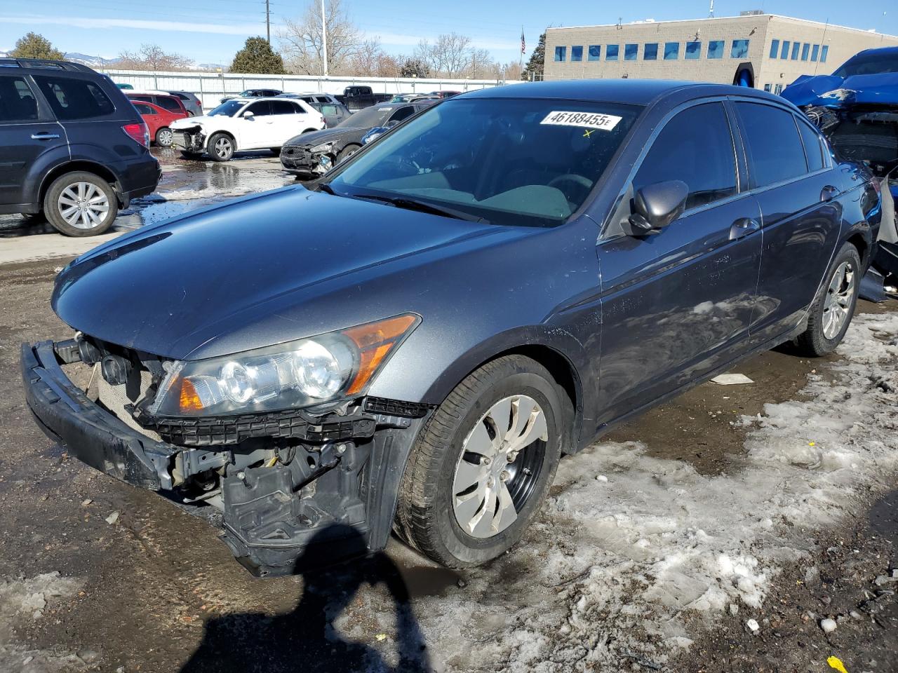 2010 Honda Accord VIN 1HGCP2E36AA031113