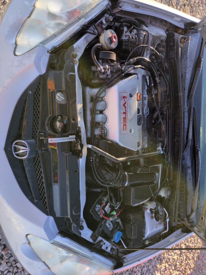 2002 Acura RSX VIN JH4DC53092C016473 Copart auction photo, side damage thumbnail 11