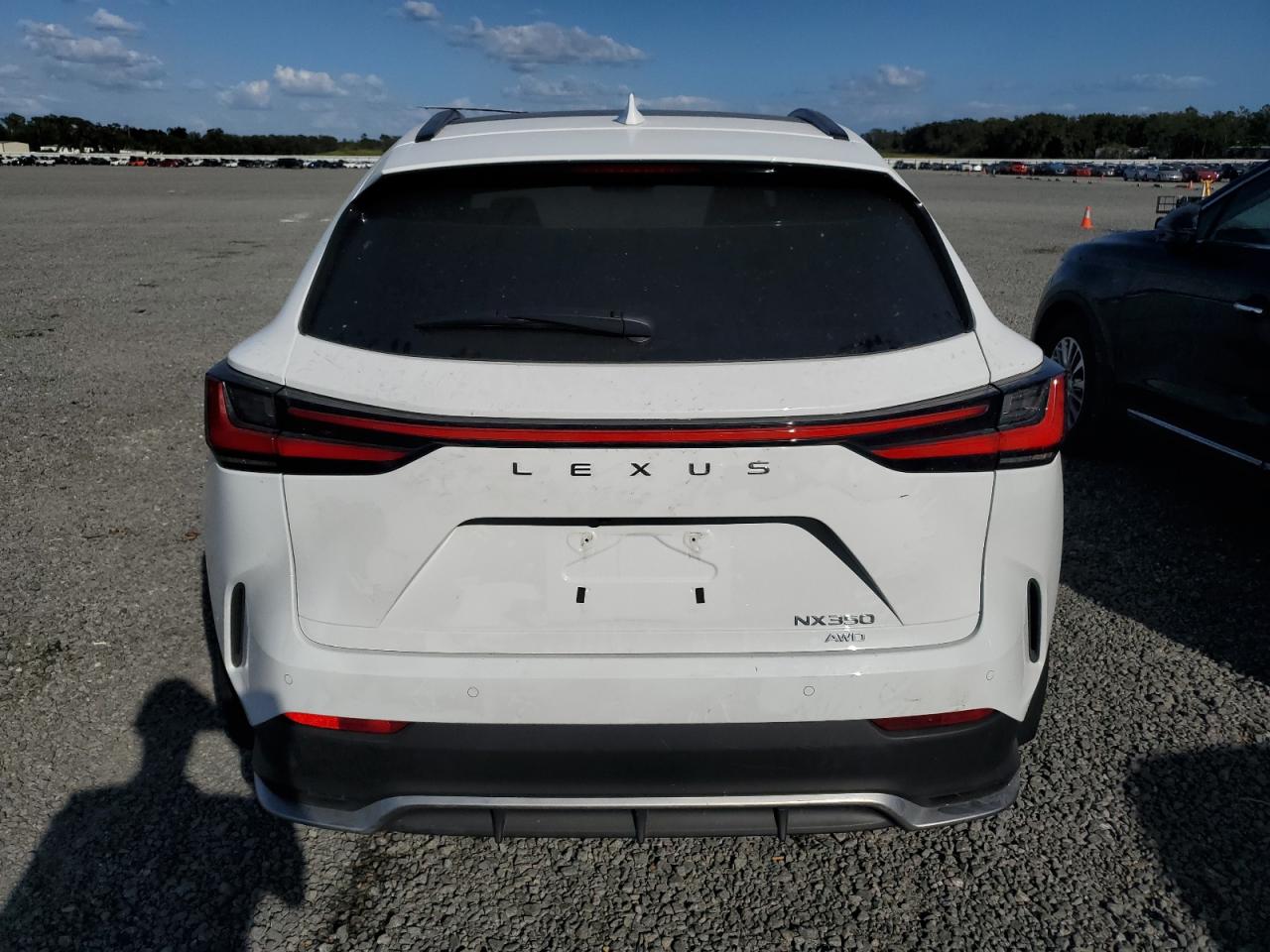 2022 Lexus NX VIN JTJKGCEZ0N2004457 Copart auction photo, water/flood / side damage thumbnail 6