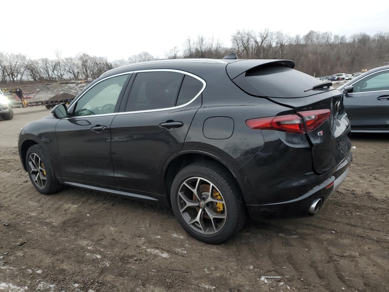 2020 Alfa Romeo Stelvio VIN ZASPAKBNXL7C85437 Copart auction photo, rear end damage thumbnail 2