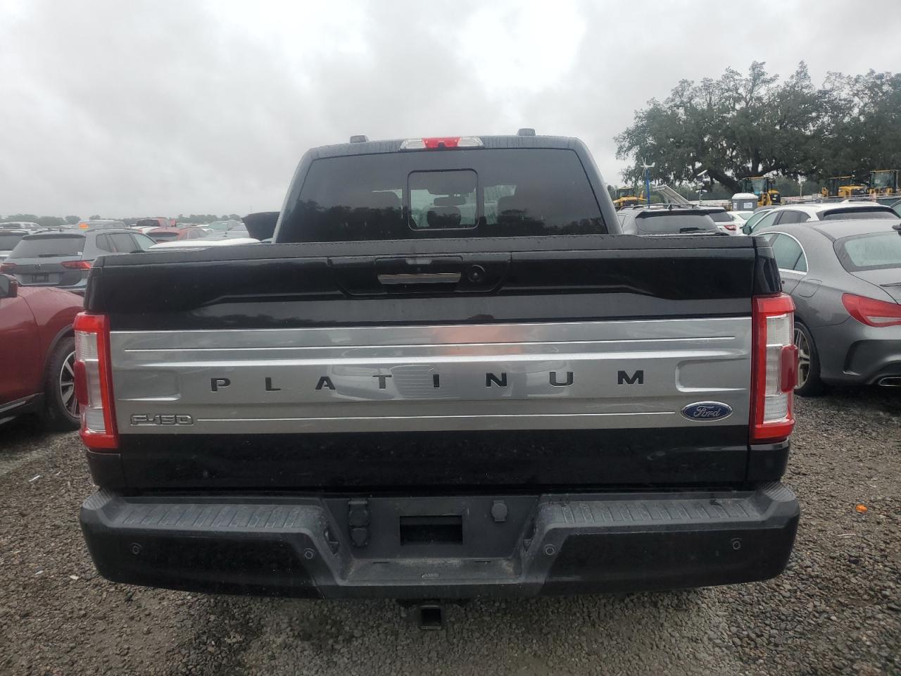 2021 Ford F-150 VIN 1FTFW1E59MFB24712 Copart auction photo, water/flood / minor dent/scratches damage thumbnail 6