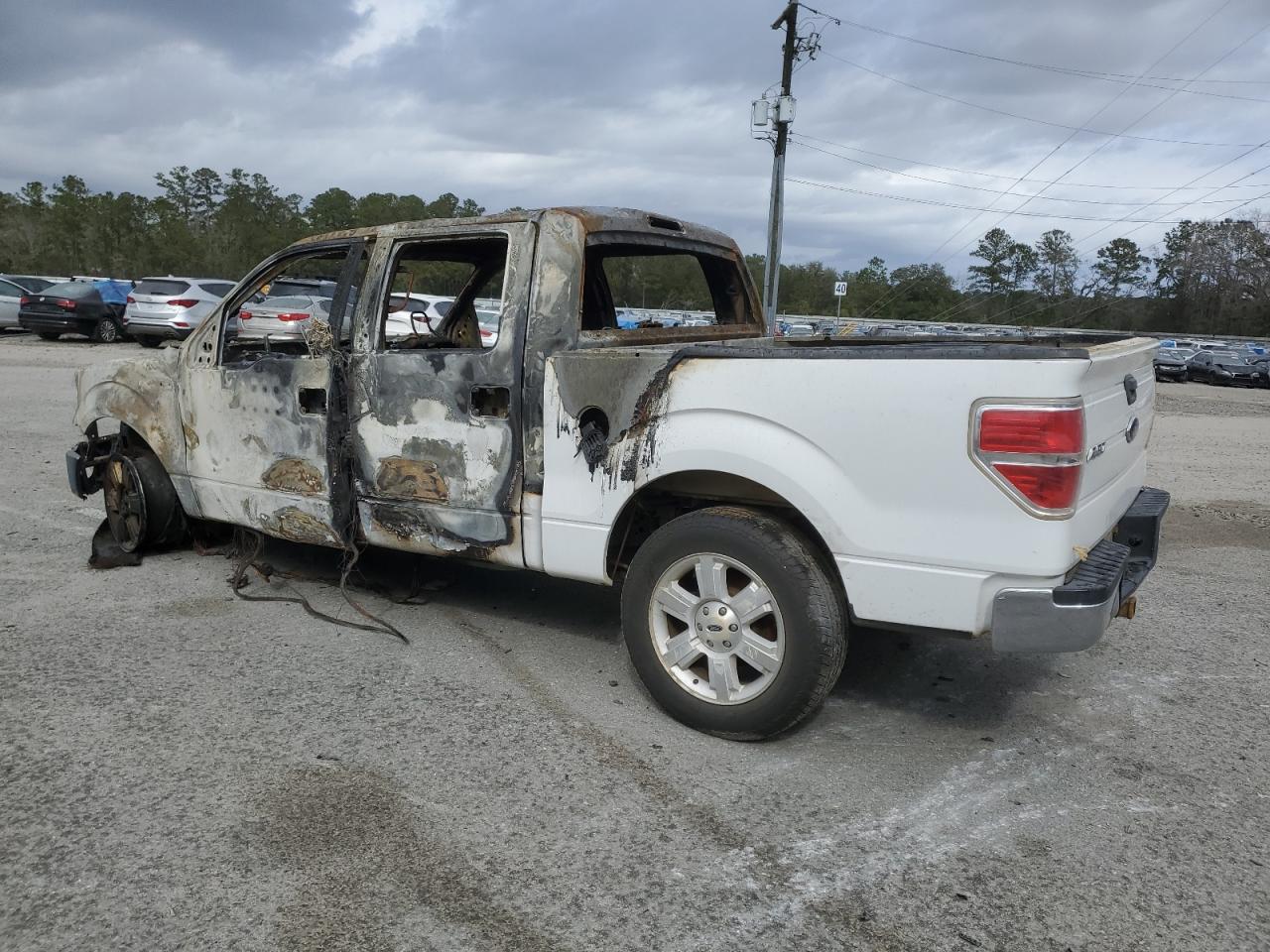 2009 Ford F-150 VIN 1FTRW12889FB10741 Copart auction photo, burn damage thumbnail 2