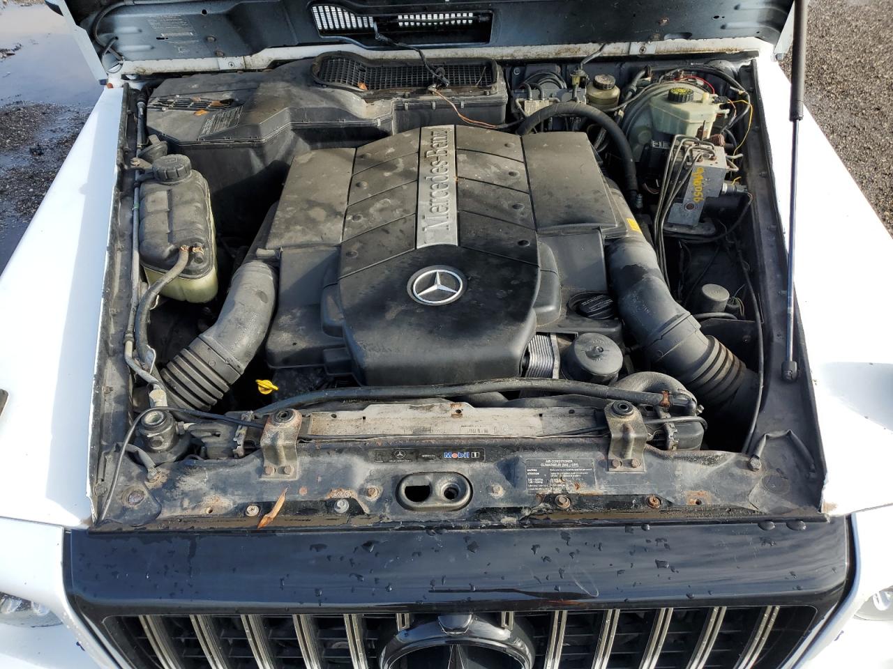 2002 Mercedes-Benz G-klasse VIN WDCYR49E22X132146 Copart auction photo, water/flood damage thumbnail 12