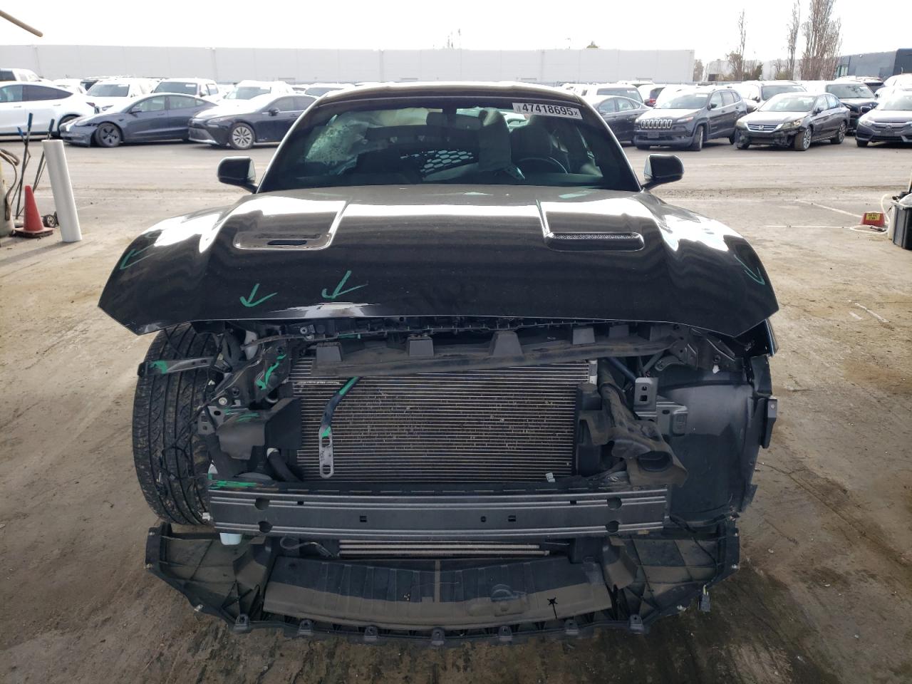 2019 Ford Mustang VIN 1FA6P8TH9K5131039 Copart auction photo, front end damage thumbnail 5