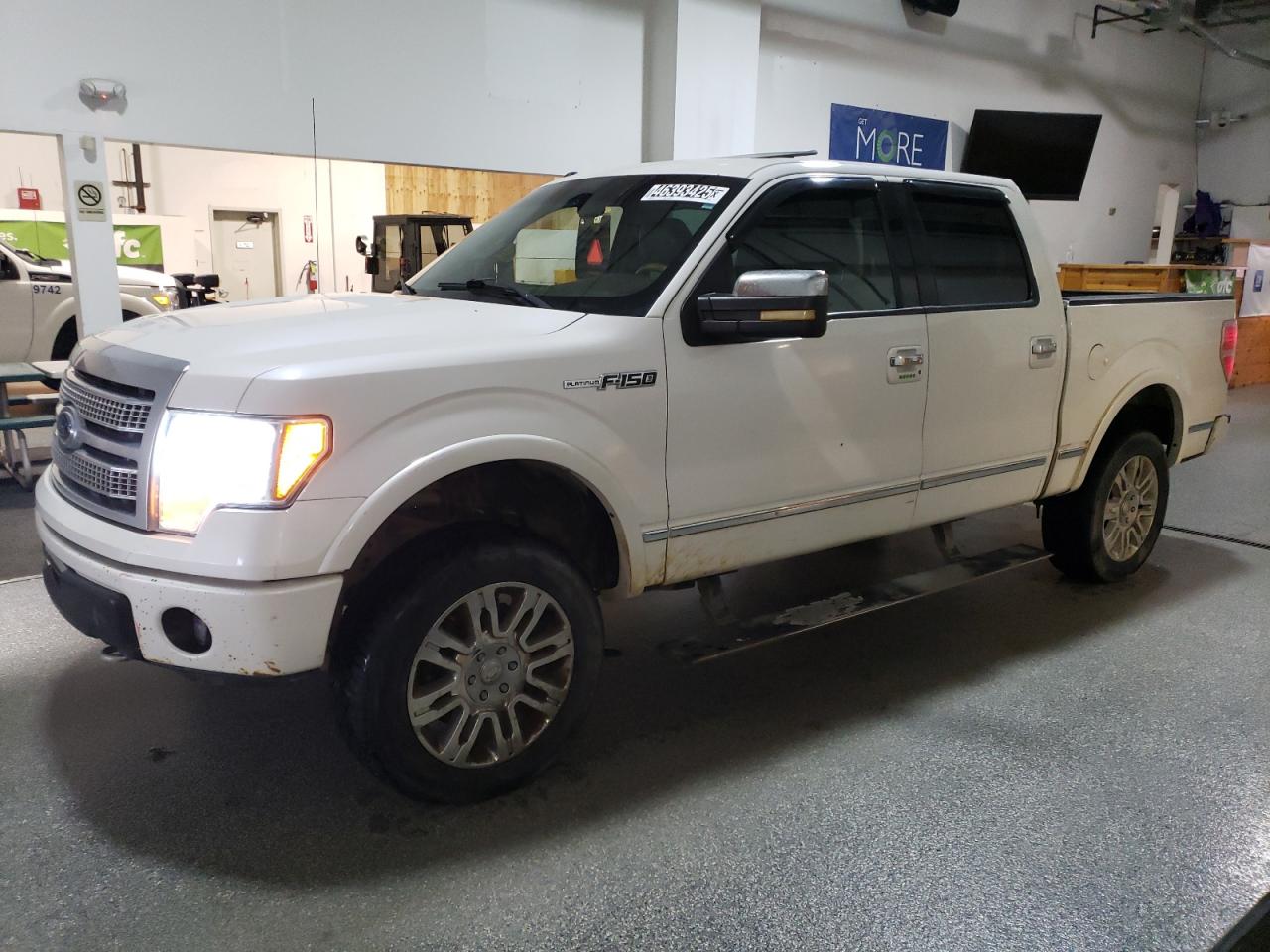 2010 Ford F-150 VIN 1FTFW1EV3AFD23055