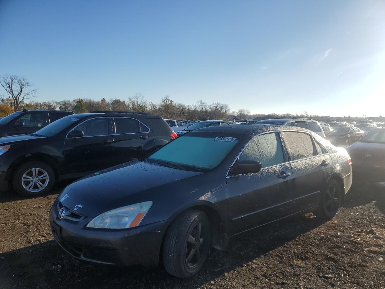 2010 Honda Accord VIN 1HGCP3F87AA012294