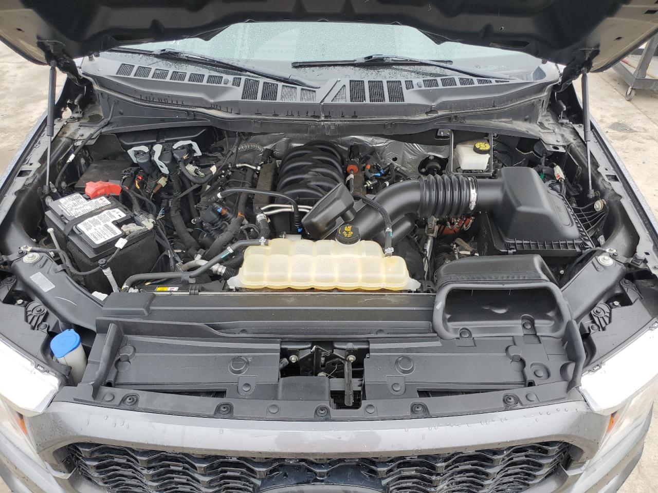 2021 Ford F-150 VIN 1FTFW1E58MFB93326 Copart auction photo, side / hail damage thumbnail 11