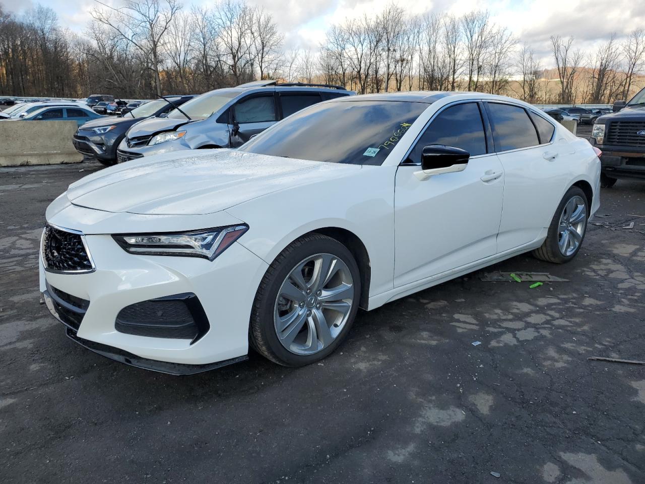 2021 Acura TLX VIN 19UUB6F42MA011589