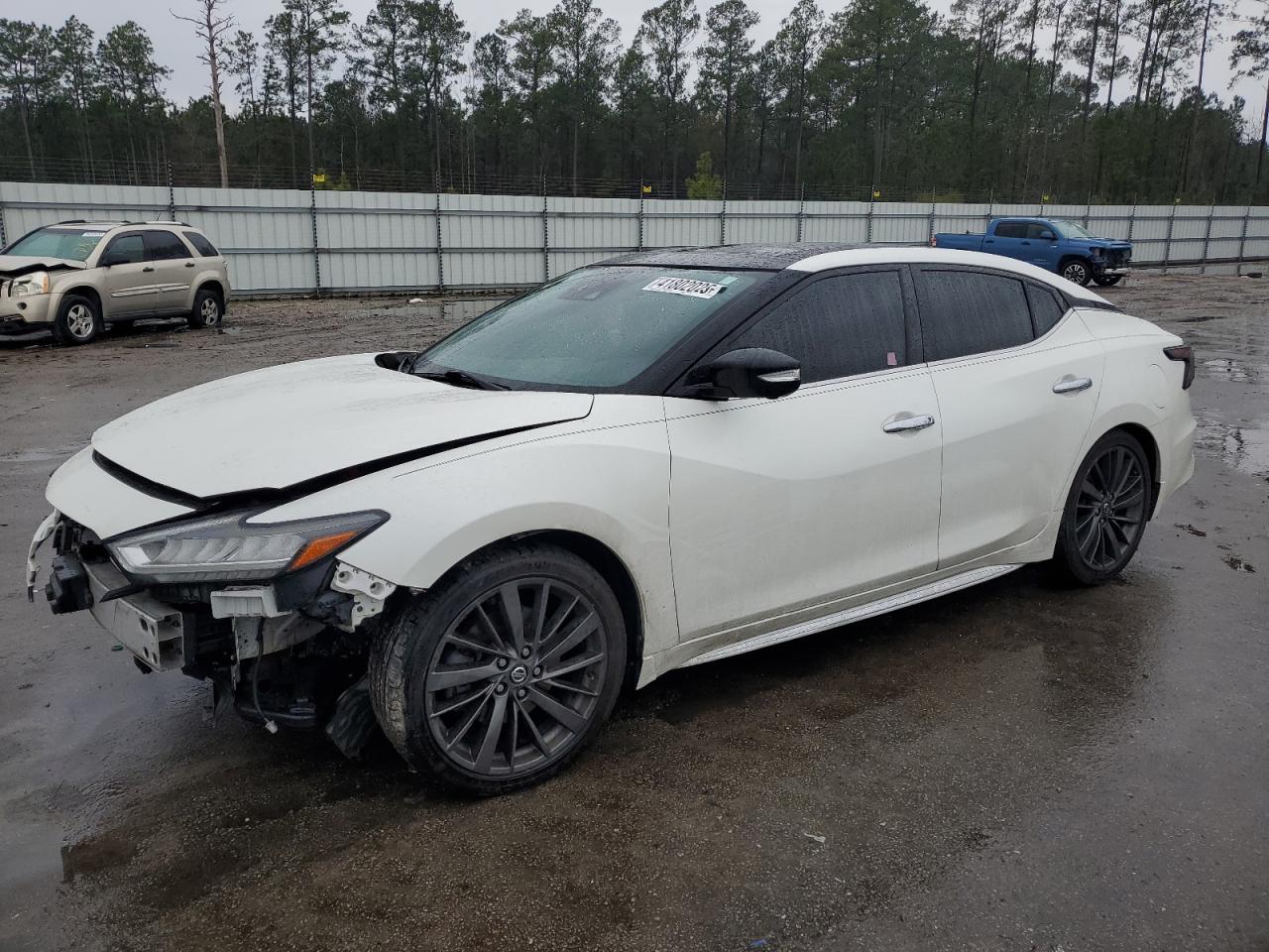 2019 Nissan Maxima VIN 1N4AA6AV8KC384230