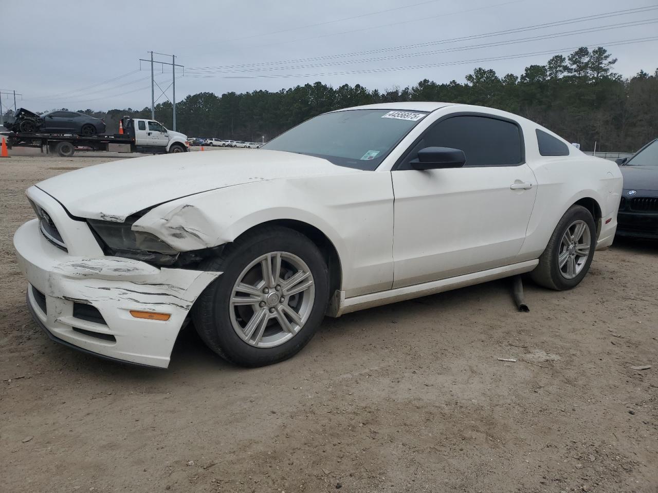 2013 Ford Mustang VIN 1ZVBP8AM8D5231139