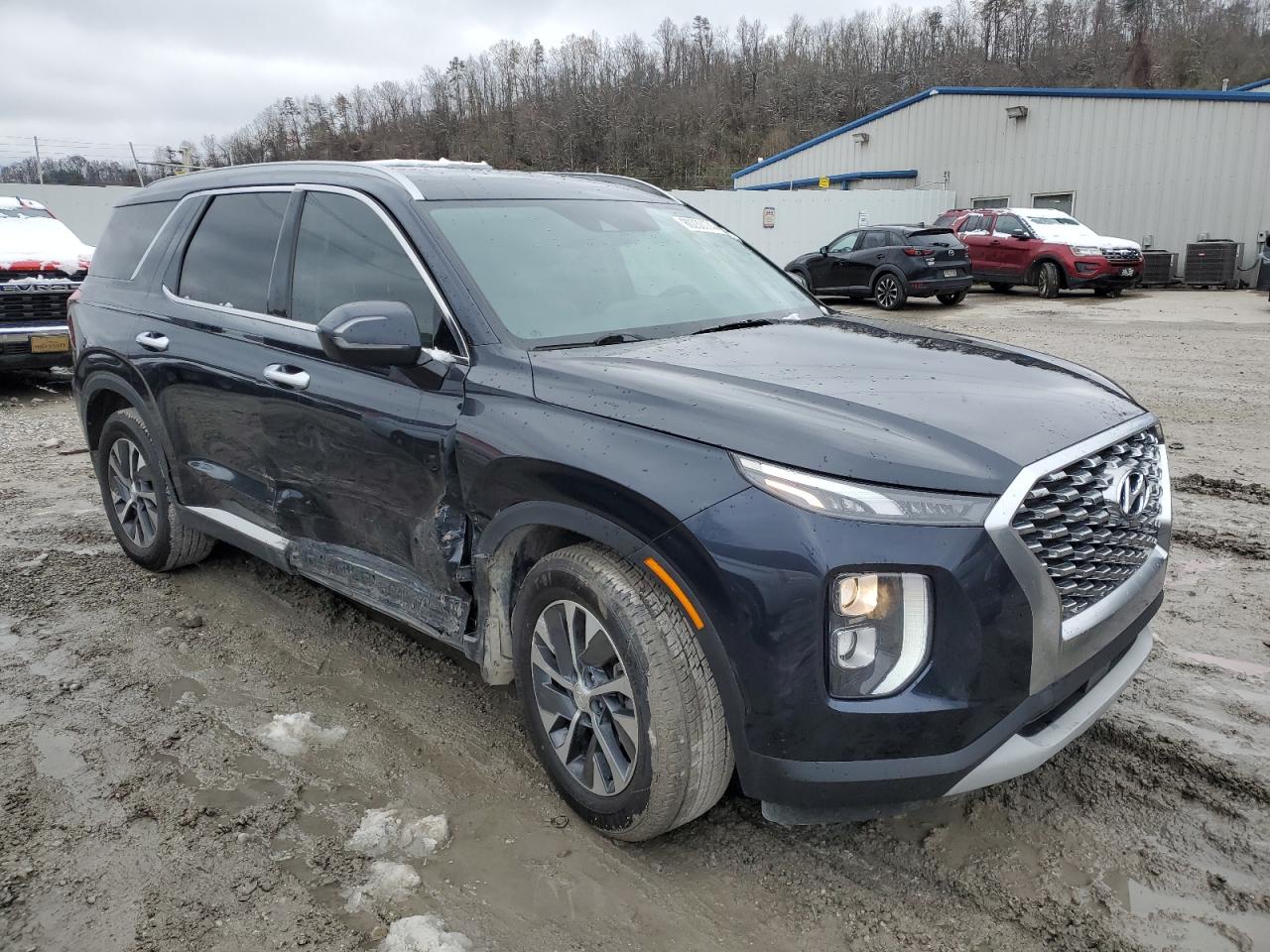2020 Hyundai Palisade VIN KM8R2DHEXLU154264 Copart auction photo, side / front end damage thumbnail 4