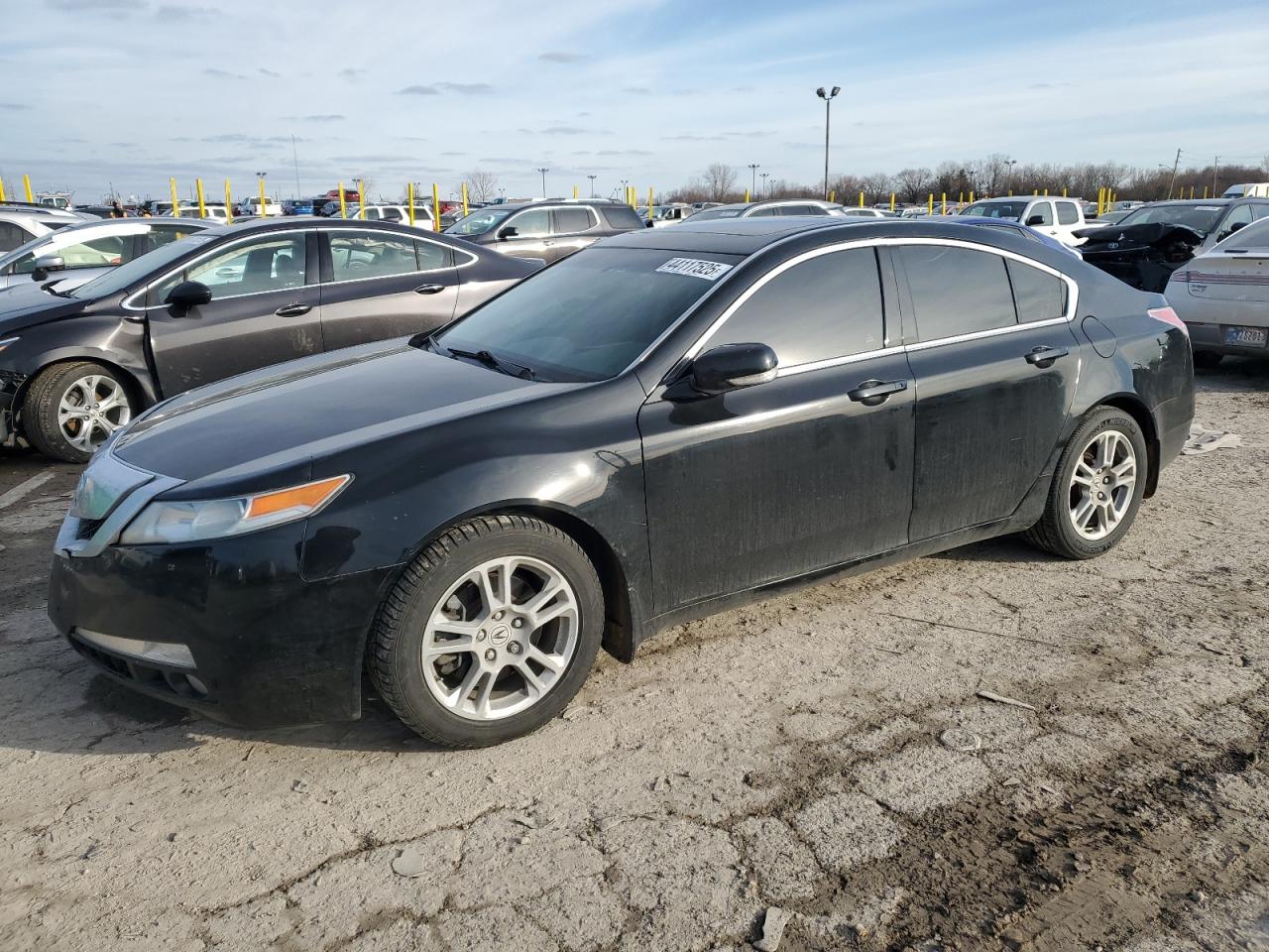 2009 Acura TL VIN 19UUA86209A001101