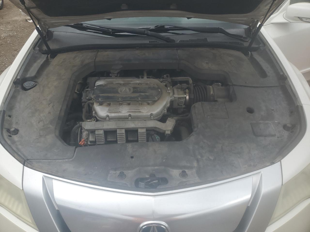 2009 Acura TL VIN 19UUA86519A008343 Copart auction photo, vandalism / minor dent/scratches damage thumbnail 11