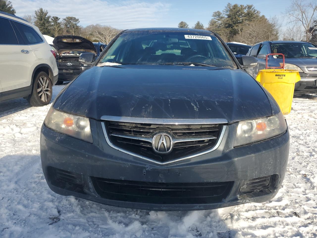 2005 Acura TSX VIN JH4CL96885C015582 Copart auction photo, rear end damage thumbnail 5