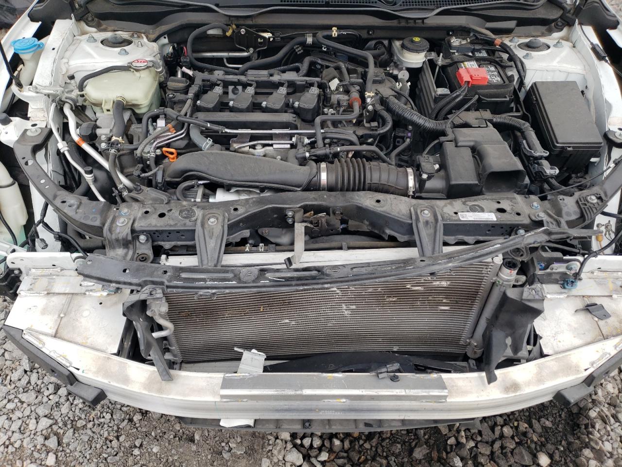 2020 Honda Civic VIN 19XFC1F37LE023473 Copart auction photo, front end damage thumbnail 11