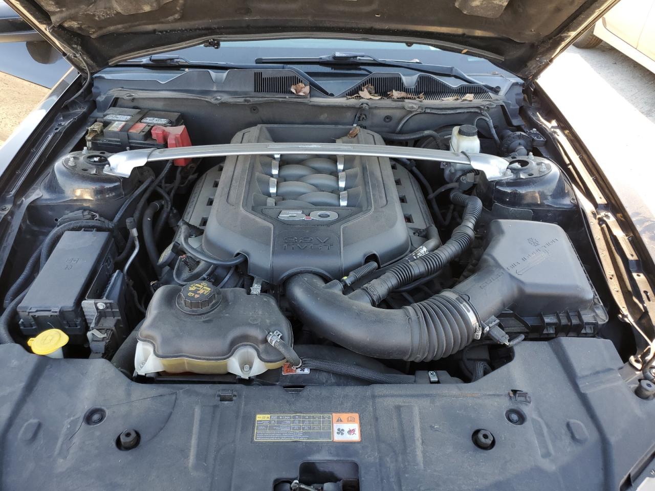 2013 Ford Mustang VIN 1ZVBP8CF0D5200627 Copart auction photo, side damage thumbnail 11