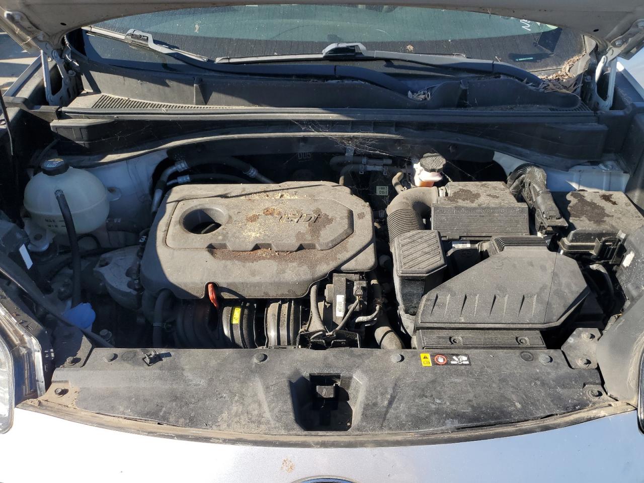 2018 KIA Sportage VIN KNDPMCAC7J7419968 Copart auction photo, minor dent/scratches damage thumbnail 12
