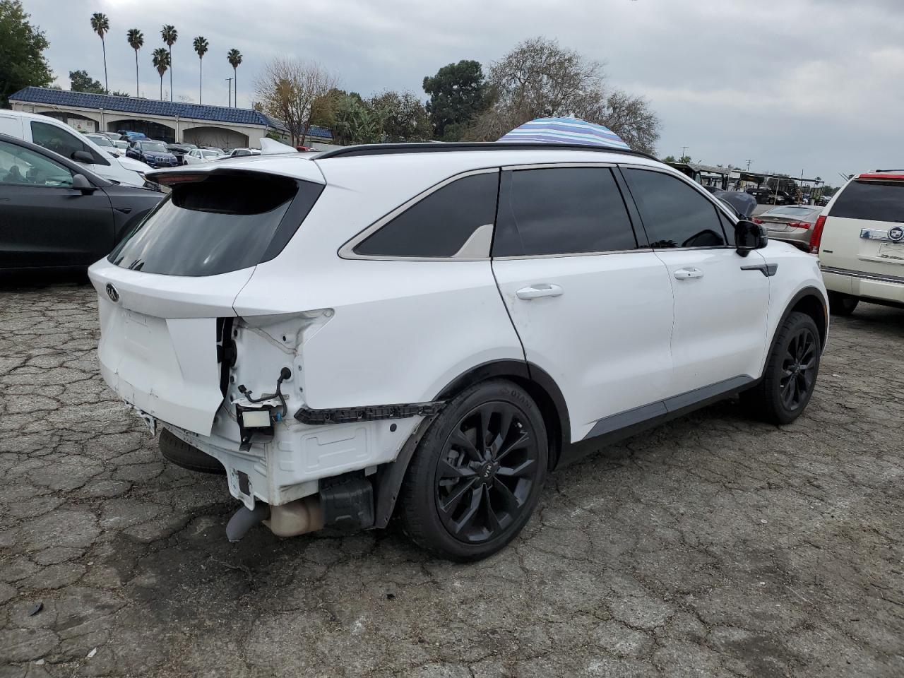 2021 KIA Sorento VIN 5XYRK4LF0MG063494 Copart auction photo, rear end / minor dent/scratches damage thumbnail 3