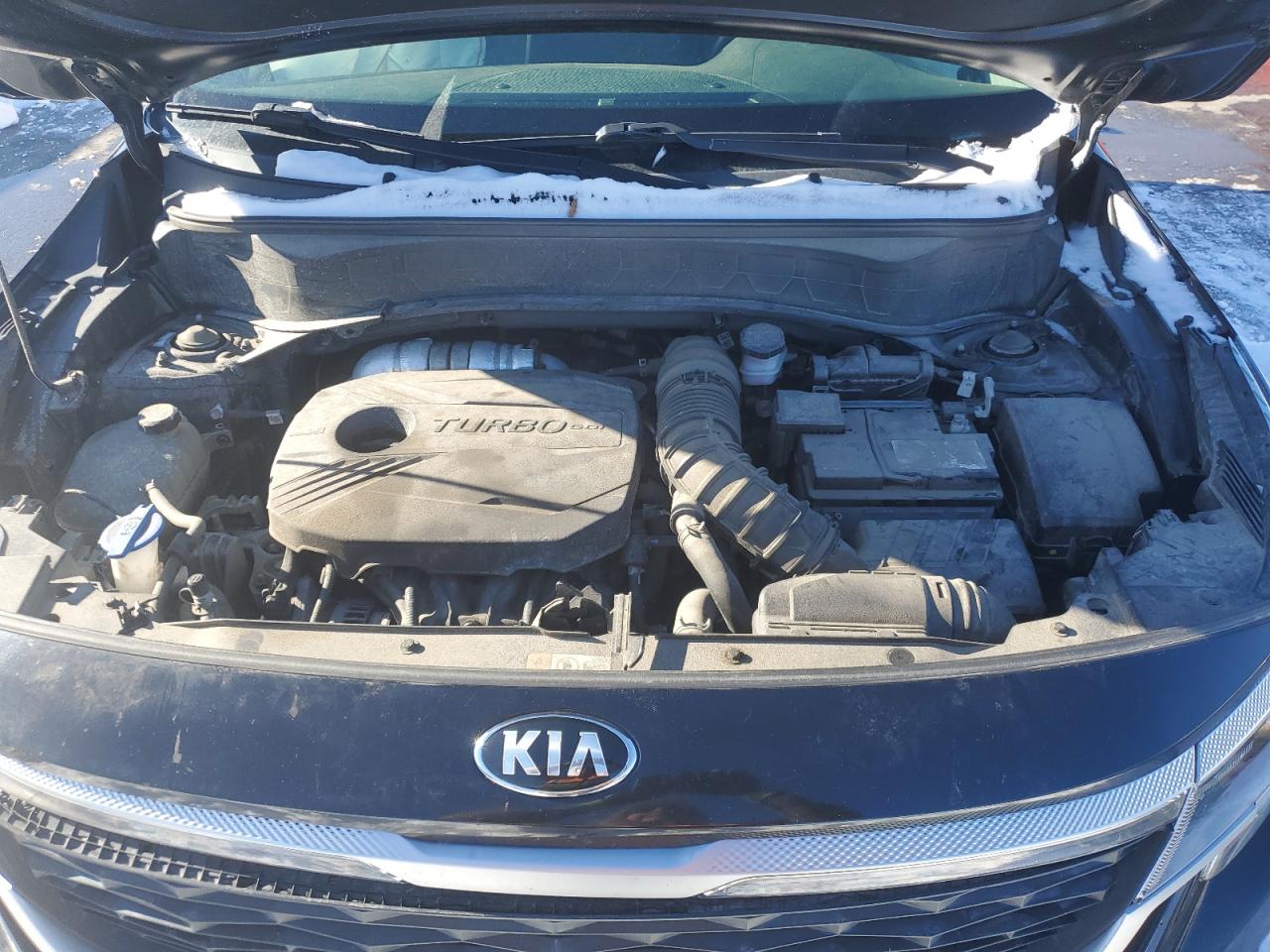 2021 KIA Seltos VIN KNDETCA21M7083918 Copart auction photo, rear end damage thumbnail 12