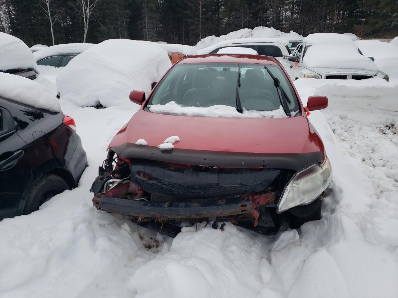 2010 Toyota Corolla VIN 2T1BU4EE4AC479801 Copart auction photo, front end damage thumbnail 5