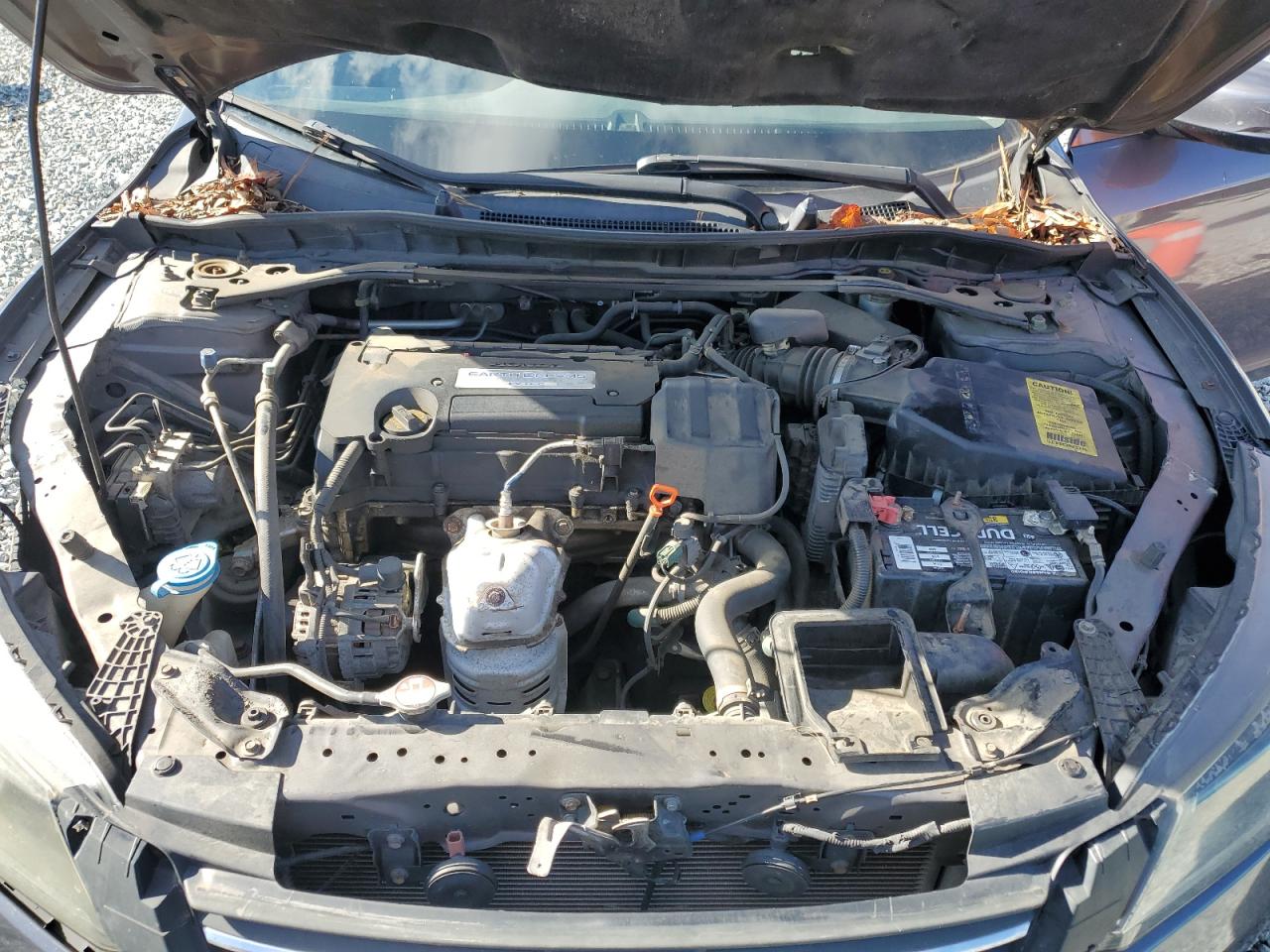 2014 Honda Accord VIN 1HGCR2F82EA221016 Copart auction photo, rear end damage thumbnail 11