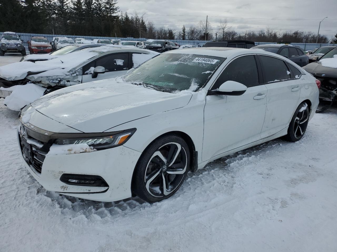 2019 Honda Accord VIN 1HGCV2F34KA800570