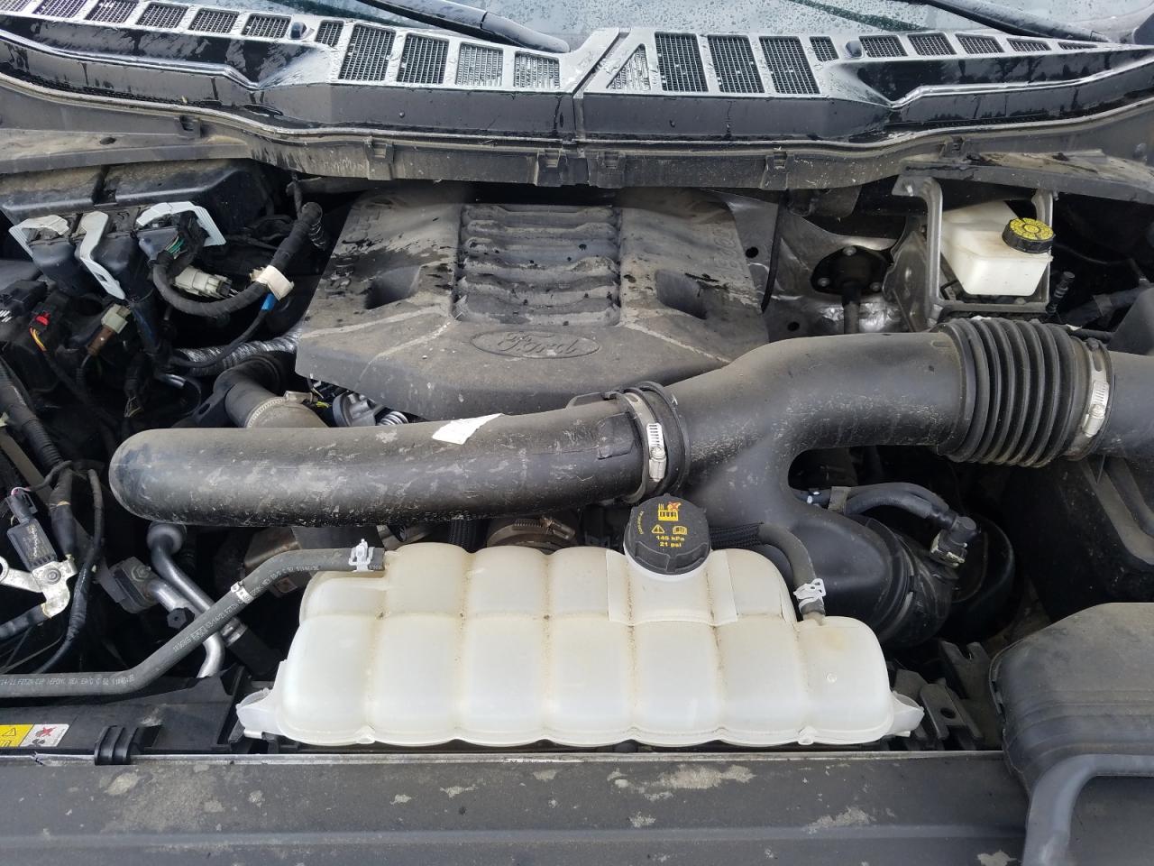 2021 Ford F-150 VIN 1FTFW1E86MFB44717 Copart auction photo, all over damage thumbnail 11