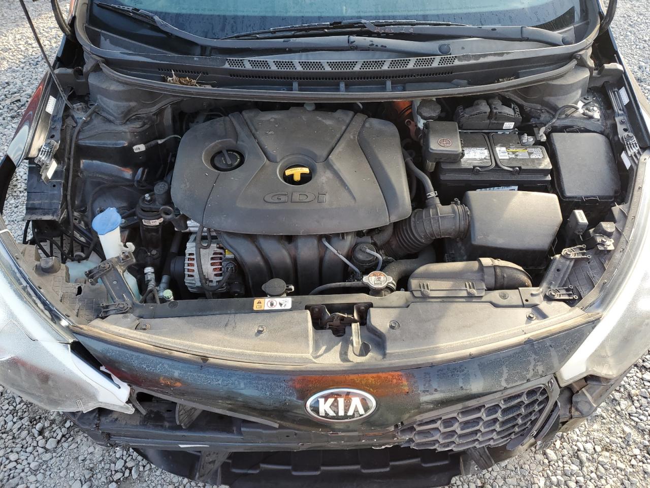 2016 KIA Forte VIN KNAFK5A89G5607773 Copart auction photo, front end damage thumbnail 13