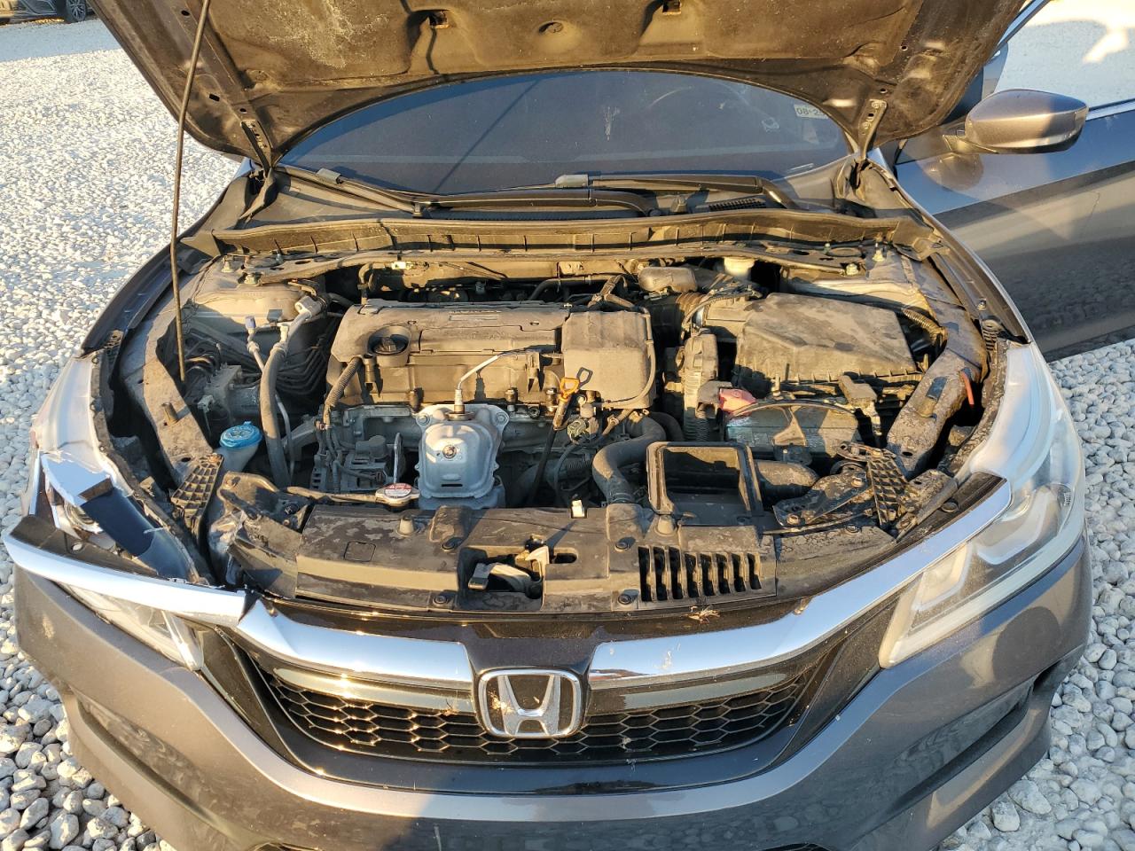 2017 Honda Accord VIN 1HGCR2F55HA127528 Copart auction photo, rear end / front end damage thumbnail 13