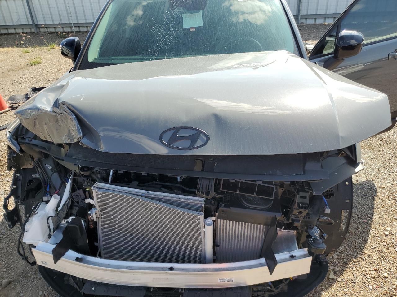 2024 Hyundai Santa Fe VIN 5NMP3DGL6RH062481 Copart auction photo, front end damage thumbnail 12
