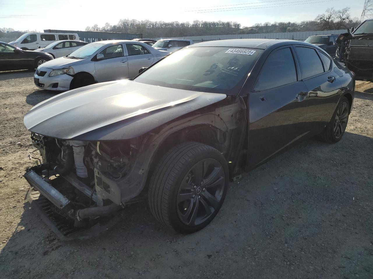 2021 Acura TLX VIN 19UUB6F51MA005615