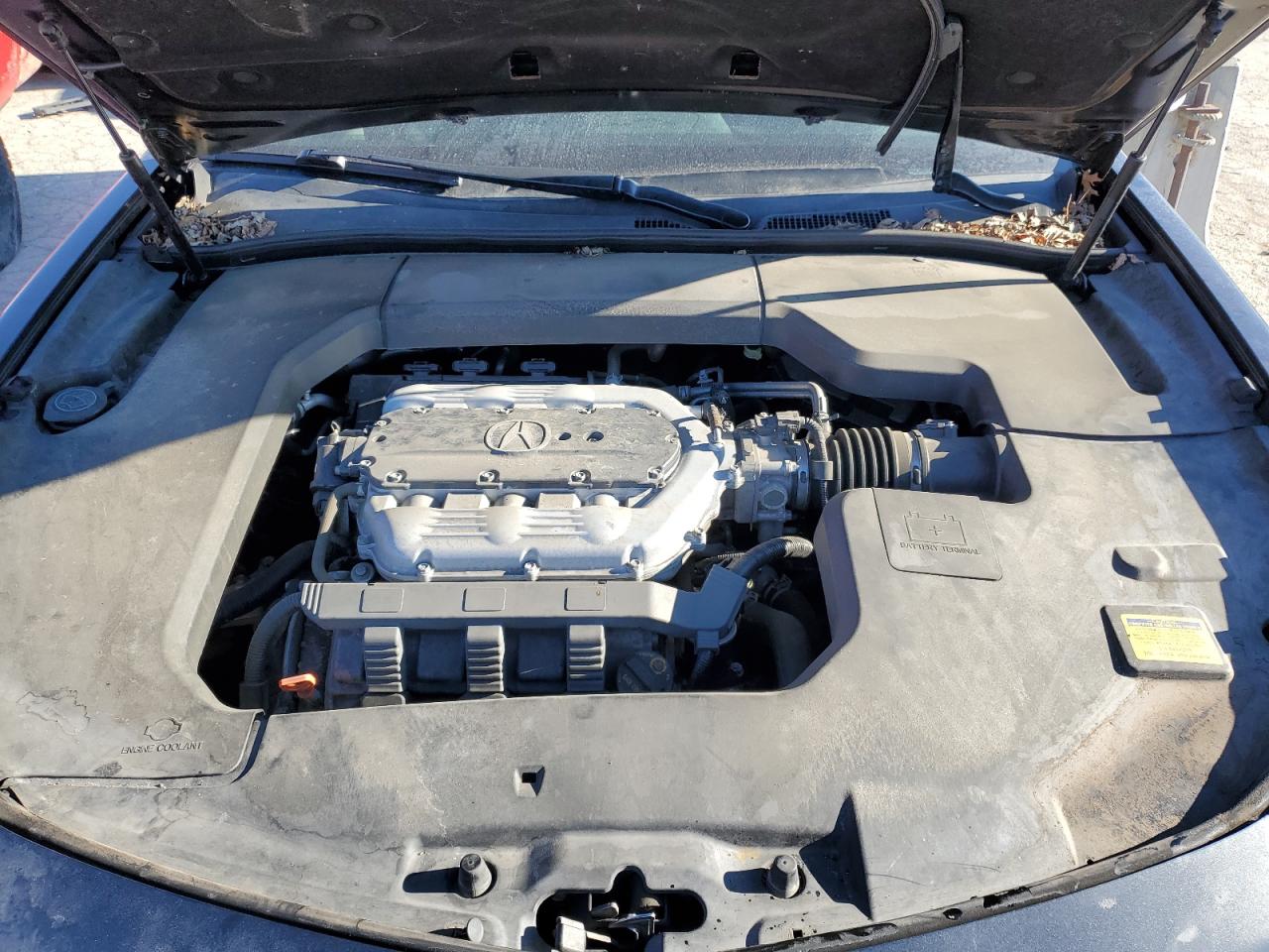 2014 Acura TL VIN 19UUA8F31EA005936 Copart auction photo, hail damage thumbnail 11